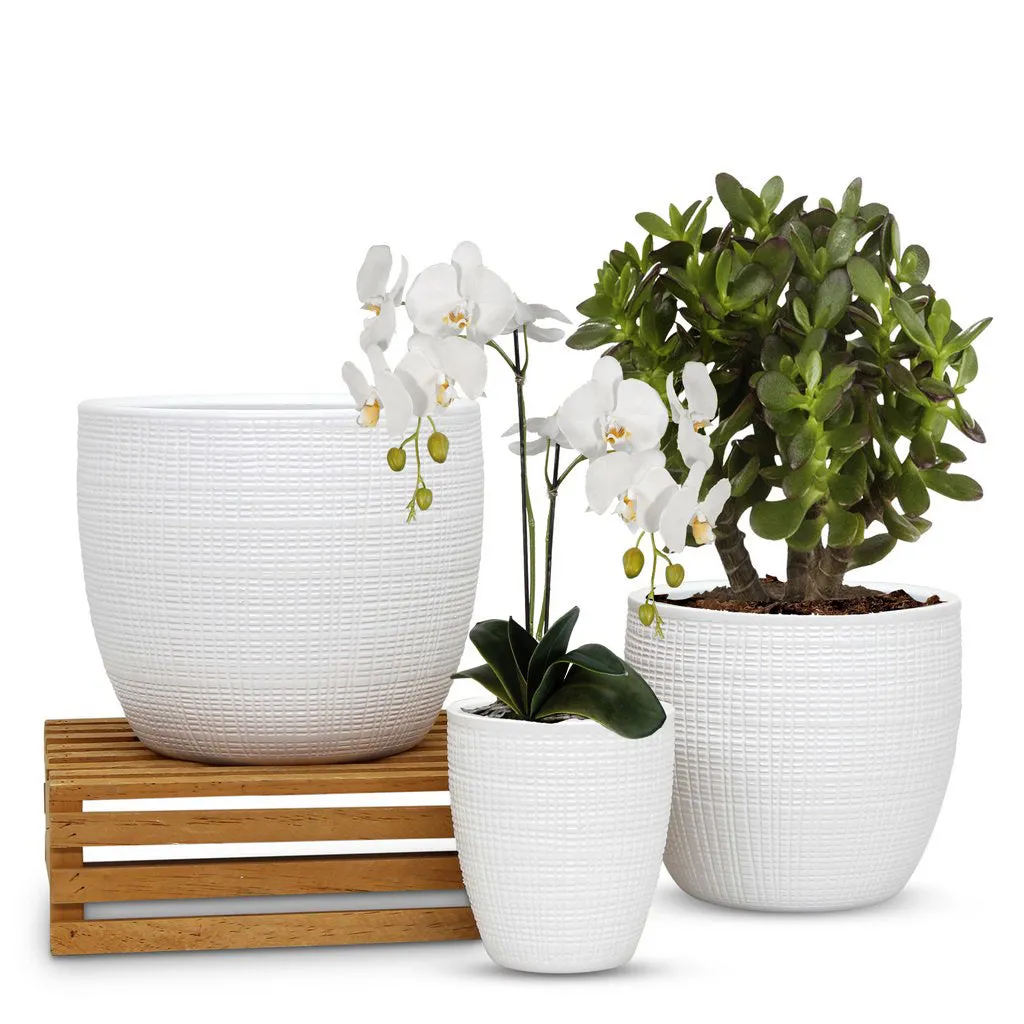 ELEGANTE: Corteza - European Style Small Flower Pot Panna White (5.5"H.)