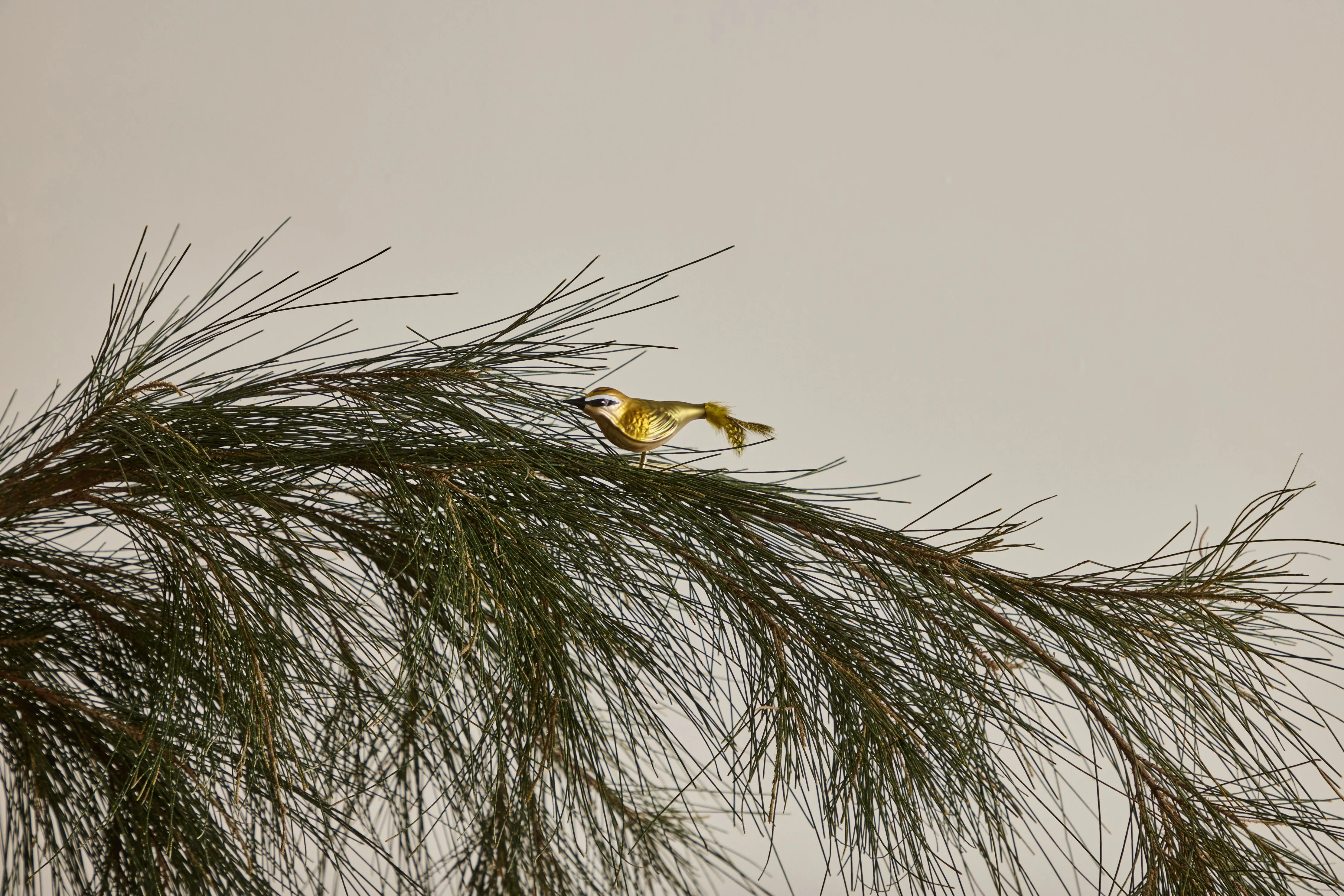 Glass Bird Clip Ornament (Multiple Styles)