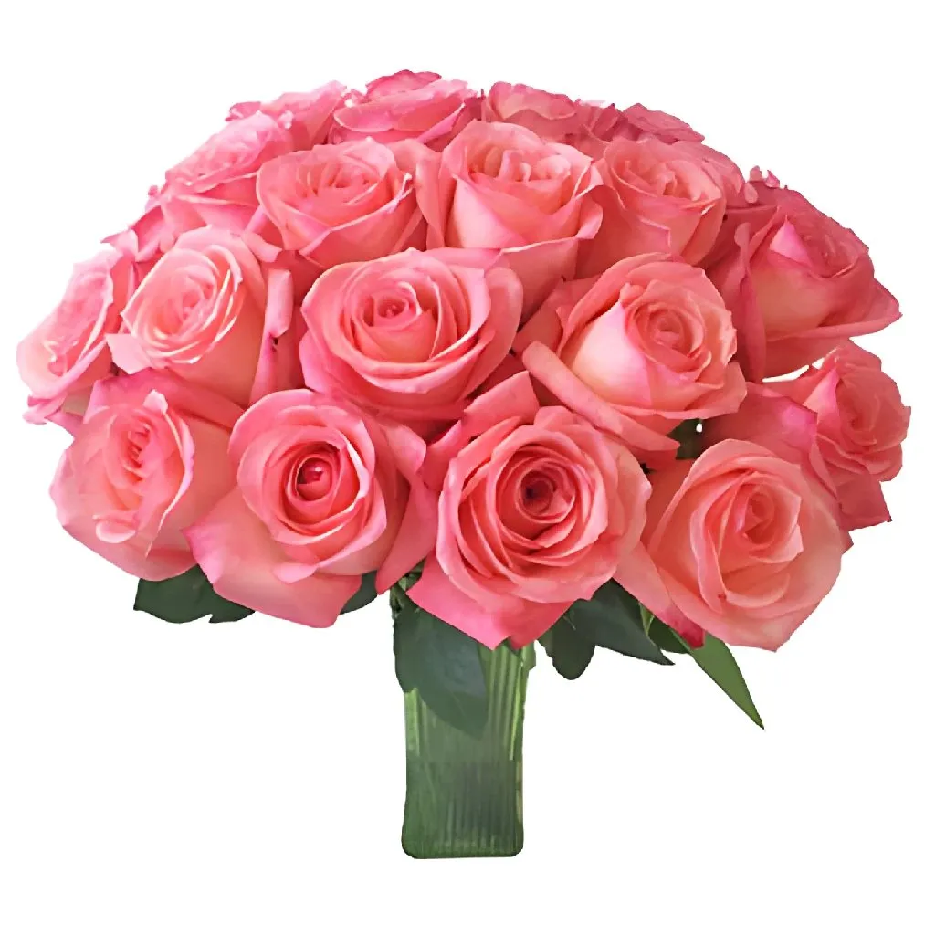 Pinkaboo Pink Rose