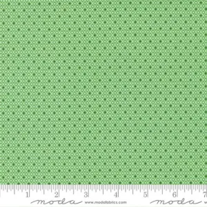 "Sweet Melodies"-Trellis Checks and Plaids Dots Light Green by American Jane for Moda